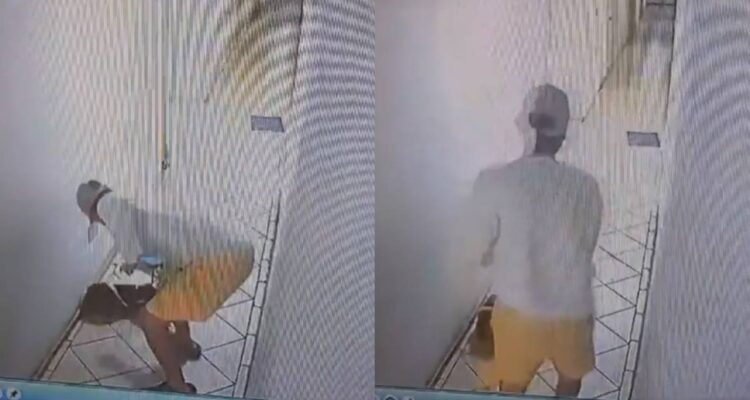 Municipio de Viña del Mar toma acciones contra sujeto que maltrató a perro en edificio de Santa Julia