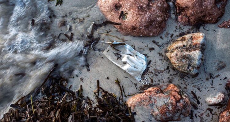 Greenpeace advierte en Halloween: los “10 aterradores fenómenos ambientales que acechan Chile”