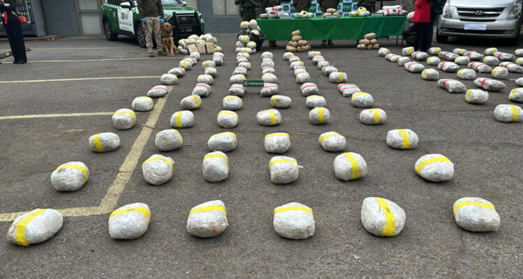 Cae banda criminal internacional que intentaba ingresar marihuana desde Bolivia a Santiago