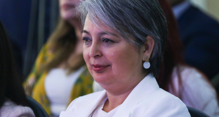 ministra Jara reforma pensiones