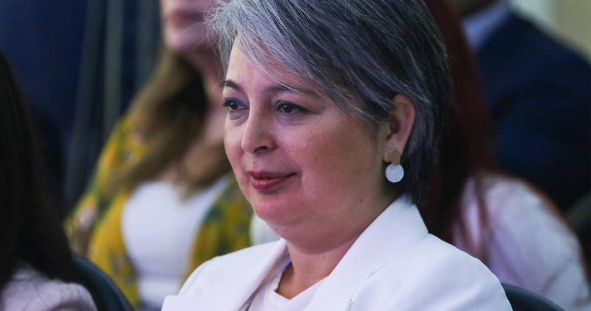 ministra Jara reforma pensiones