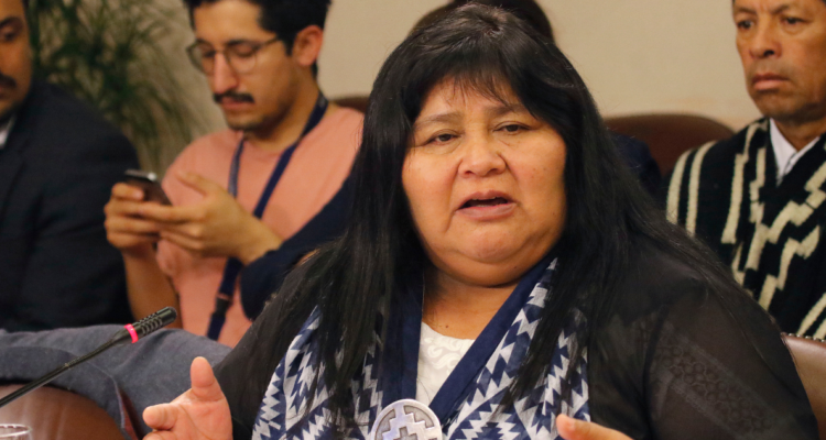 Nuyado pueblos indígenas