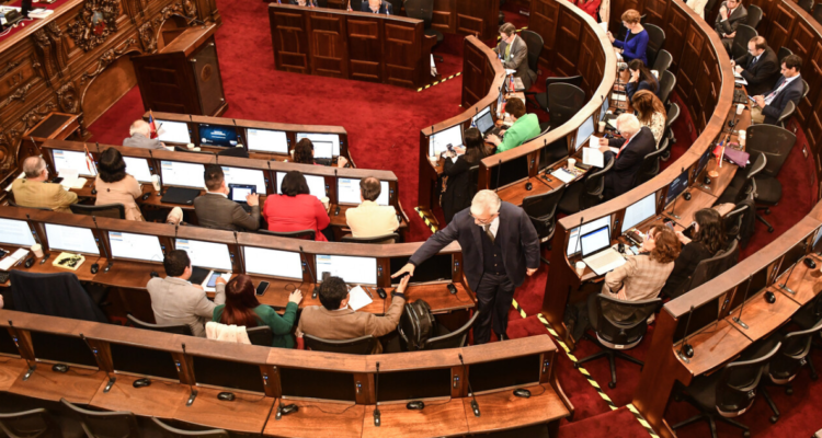 Opiniones divididas genera nueva propuesta de constitución