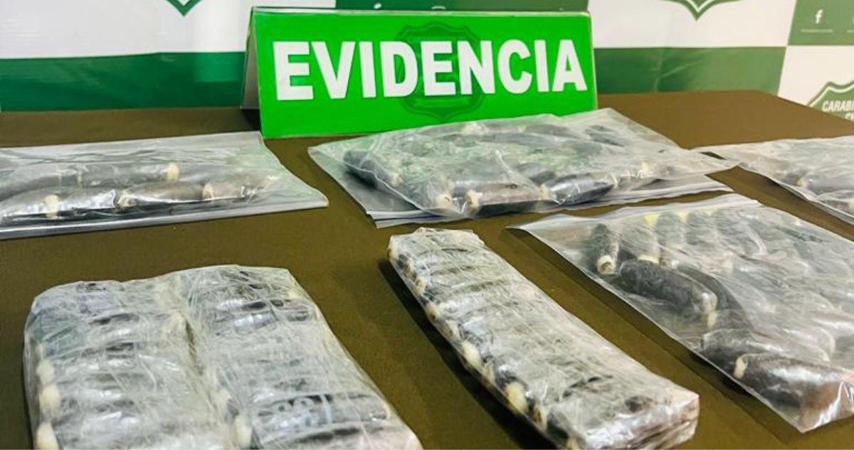 Detienen a dos personas con 180 ovoides de droga en su cuerpo y equipaje en región de Los Rios
