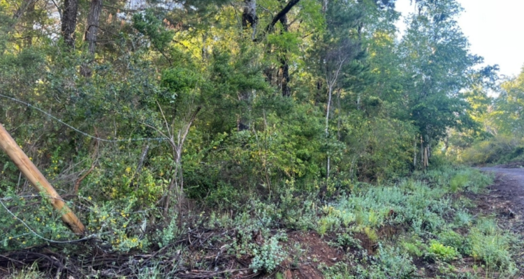 Parque Nacional Nonguén