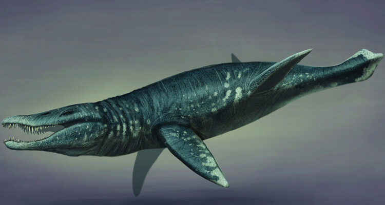 Identifican al reptil marino megadepredador más antiguo del mundo hasta ahora: medía más de 6 metros