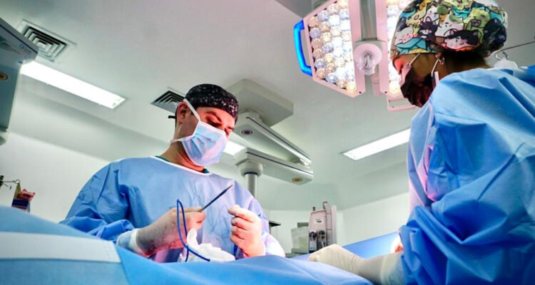 procuramiento de organos los angeles