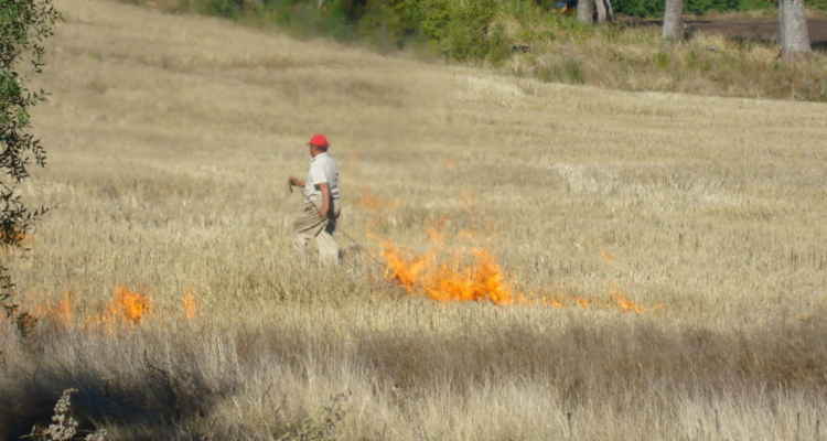 quemas agrícolas