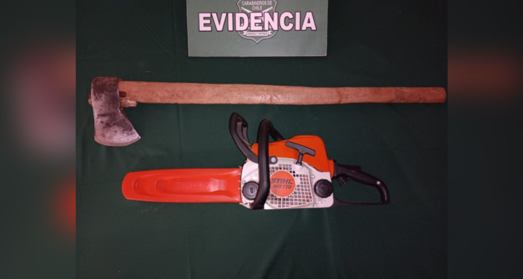 Incautación en operativo por robo de madera en Mariquina