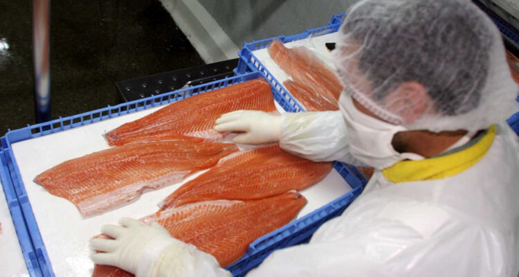 salmon-los-lagos-marea-roja