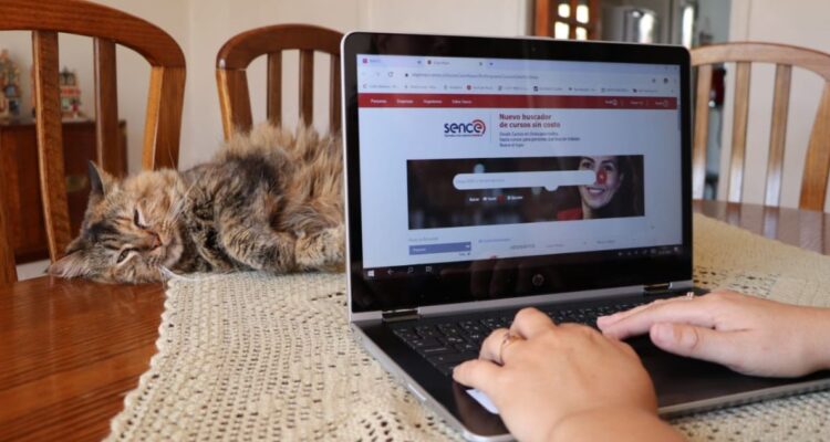 Son seis diplomados gratuitos disponibles en Sence