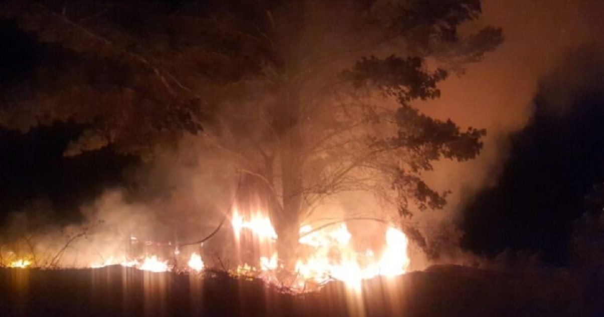 Incendio forestal