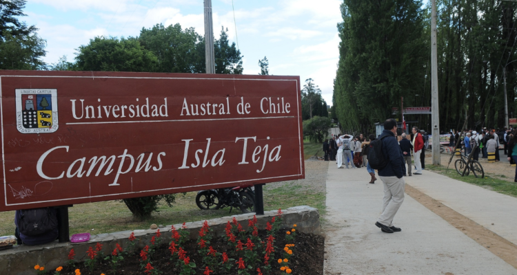 Sindicato Docentes UACh