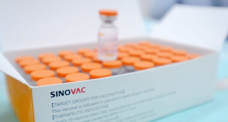 Seguridad y servicios básicos: los nuevos antecedentes por los que Sinovac no invertiría en Chile