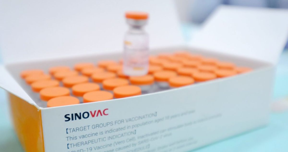 Seguridad y servicios básicos: los nuevos antecedentes por los que Sinovac no invertiría en Chile