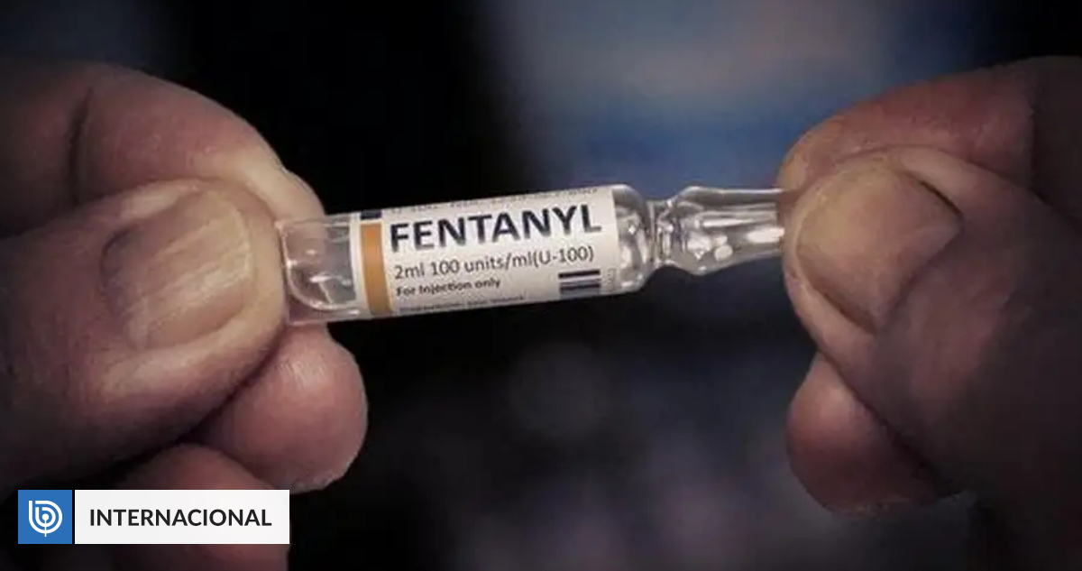 EUA sancionam empresas chinesas que fornecem a cartéis mexicanos os insumos  para produzir fentanil, a droga 50 vezes mais potente que heroína, Mundo