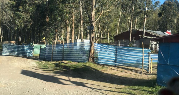 Toma Colcura no hay catastro de vivienda