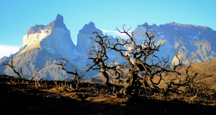 Gremio hotelero y gastronómico temen cancelaciones de turistas israelíes en Magallanes por conflicto