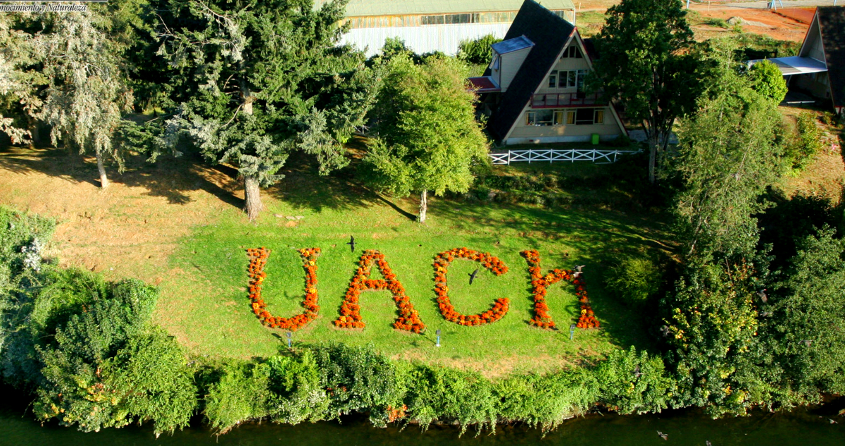 Uach valdivia