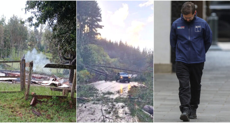 wam presidente boric