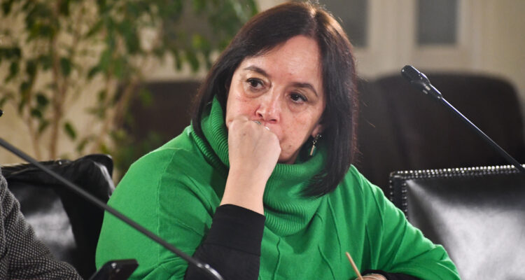 Senadora Carmen Gloria Aravena por quema de iglesias