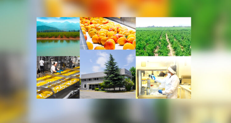 Incluye almuerzo e incentivos: Empresa de consumo masivo comunica que necesita 2 mil trabajadores