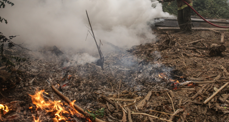 Alerta Amarilla Quillón