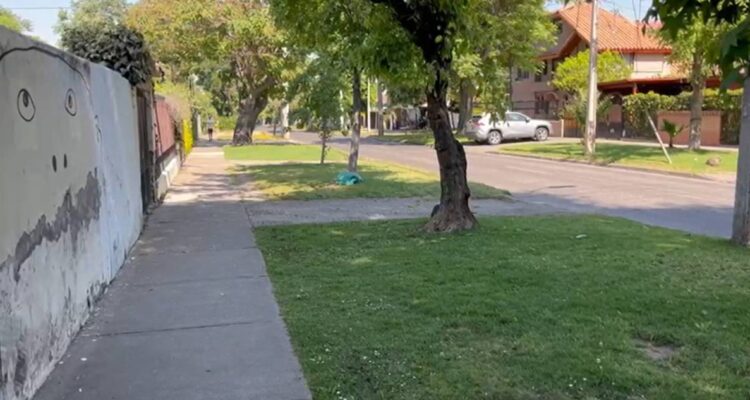 Vecino queda grave tras ser atropellado por asaltantes durante portonazo en Ñuñoa