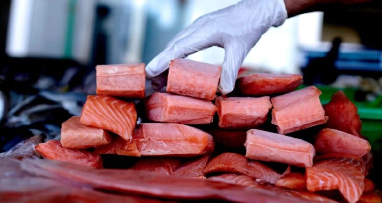 Prisión preventiva para banda que se dedicaba al robo de salmones: trasladaban carga entre regiones