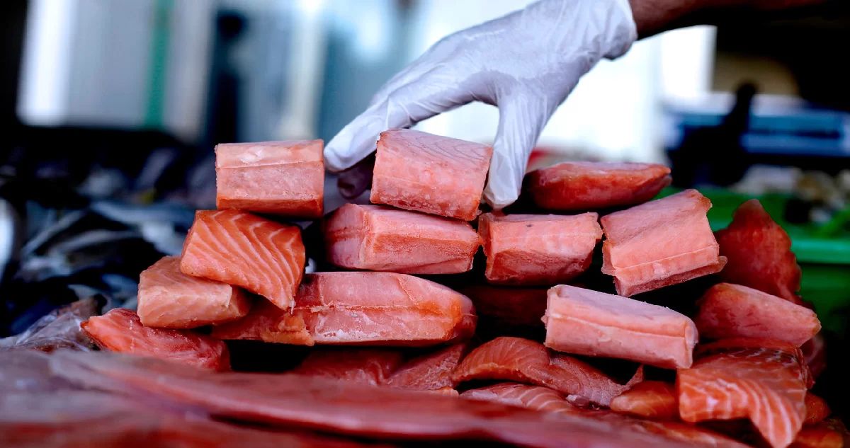 Prisión preventiva para banda que se dedicaba al robo de salmones: trasladaban carga entre regiones