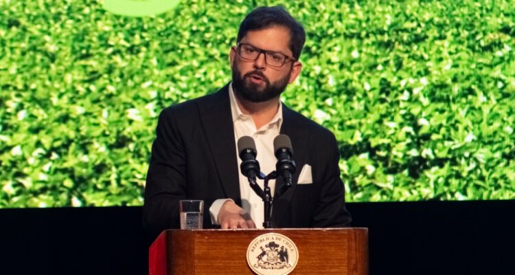 BORIC POR ESTADO DE EXCEPCIÓN