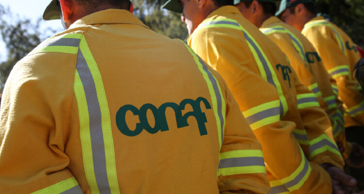 brigadistas de Conaf (imagen contexto de incendio)