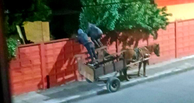 carreta chorros delinquen en talcahuano