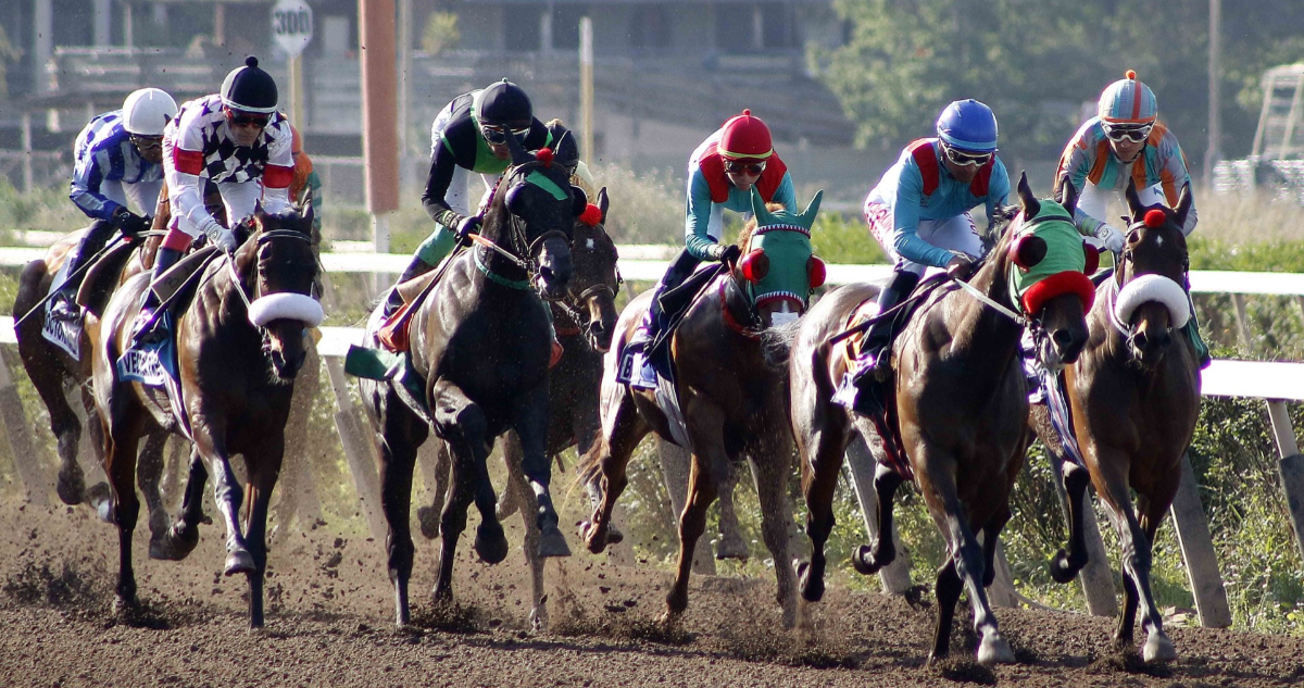 Con el campeón Kay Army como favorito: Clásico St Leger 2023 se disputará este sábado en Santiago