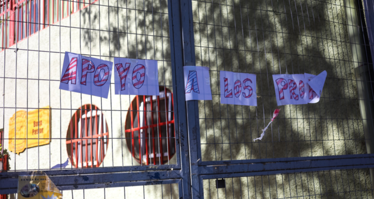 colegio de profesores