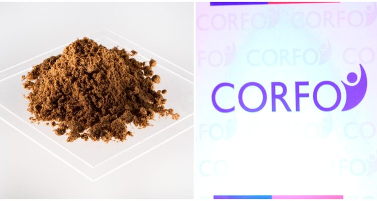 Corfo refuta a proyecto Tierras Raras