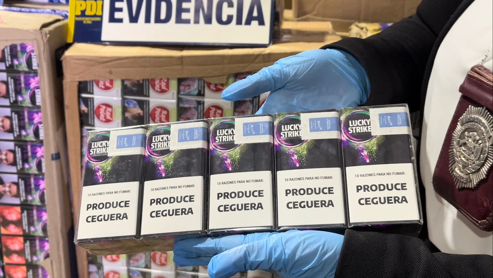 Desarticulan organización criminal en Magallanes.
