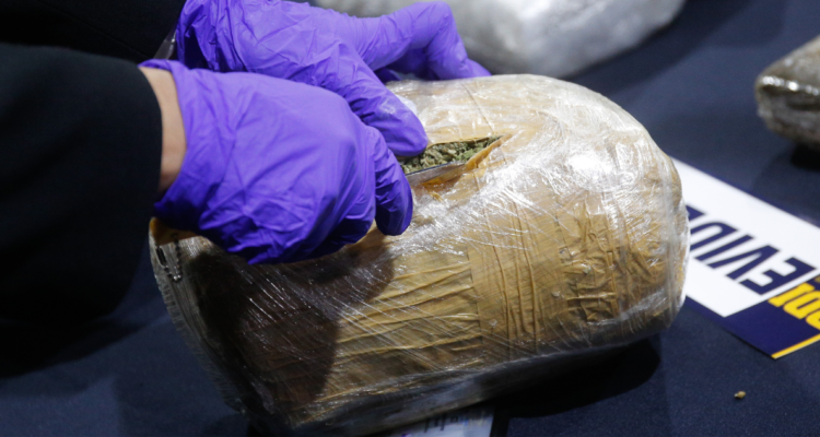 despenalización narcotráfico constitución