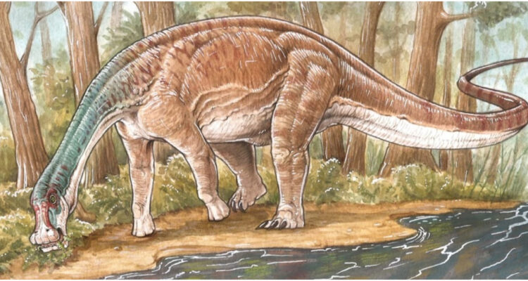 CONICET | Reconstrucción de Inawentu oslatus. Ilustración: Gabriel Lio