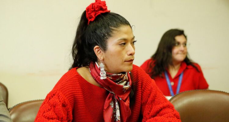 “Están haciendo show”: Ñanco (RD) critica informes de comisión por Caso Convenios previo a votación