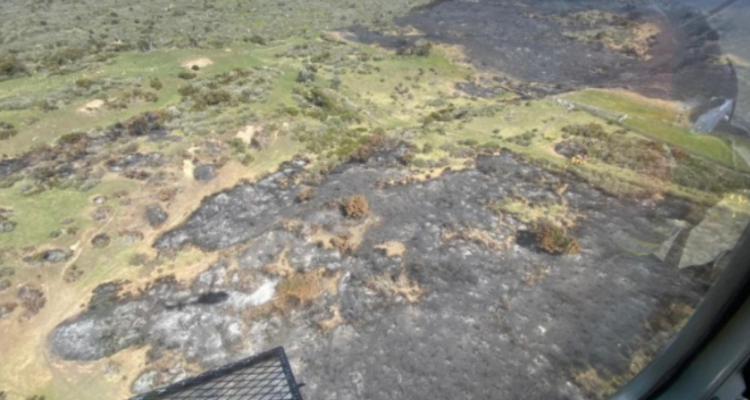 La emergencia obligó el despliegue de más de 150 personas de diversas instituciones, junto a 50 funcionarios del Ejército, para disminuir el avance del incendio forestal que afecta a la estancia Las Mercedes en Tierra del Fuego.