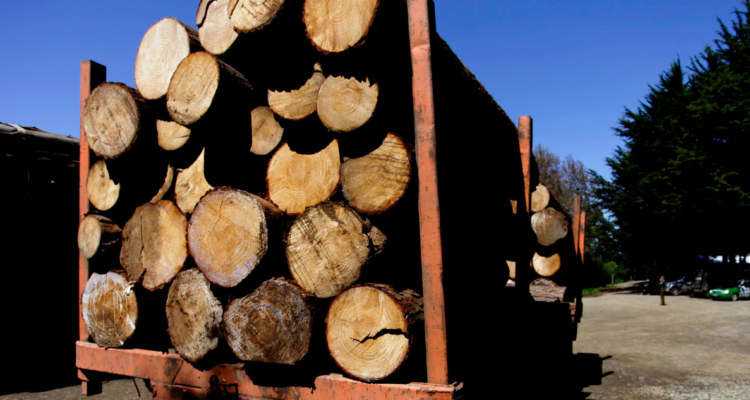 cuatro detenidos robo de madera
