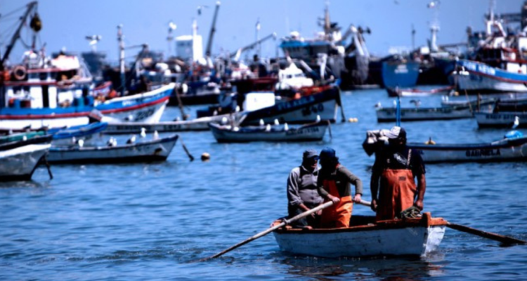 Pescadores Toltén