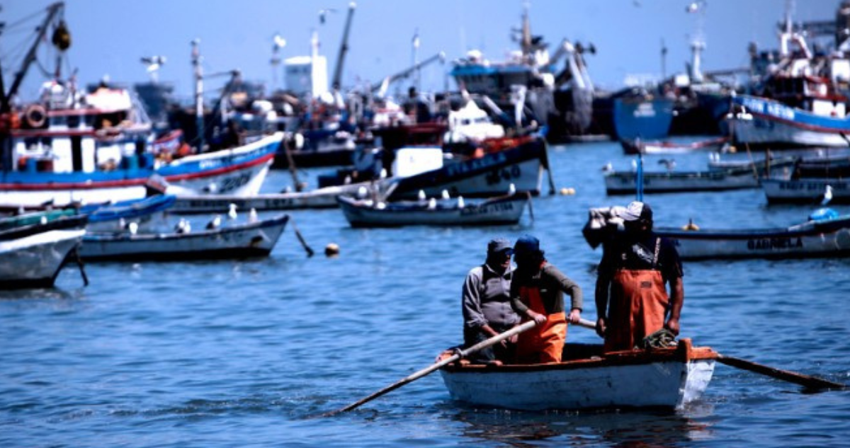Pescadores Toltén
