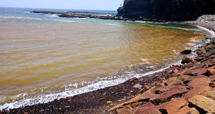 CONTAMINACIÓN EN PLAYA LA CONCHILLA LOTA