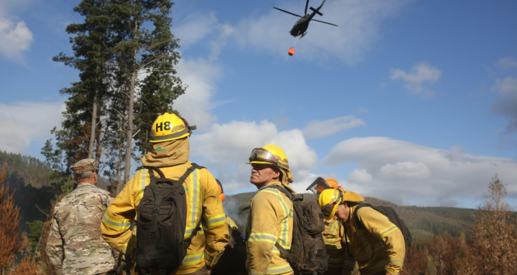 Los Ríos: Conaf confirma nueve brigadas para combatir incendios forestales que se prevén en verano