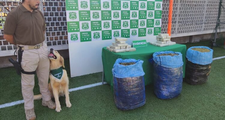 Cae banda narco con operaciones en Antofagasta y la RM: hay siete detenidos