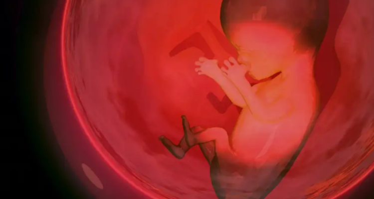 Empresa neerlandesa busca concebir bebés en el espacio