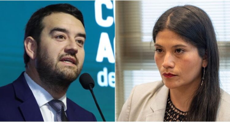 @gorearaucania (X) | Ericka Ñanco (Facebook)