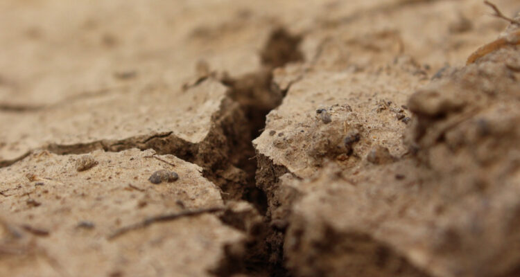 Estudio revela nuevos detalles de la Falla Cariño Botado, desconocida amenaza sísmica de Valparaíso